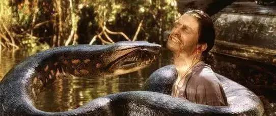 大蟒蛇吃人电影视频国产,惊悚国产惊悚片揭秘