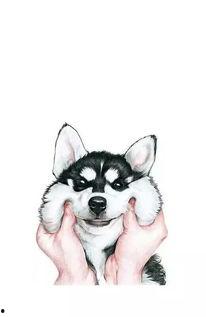 哈士奇国产动画视频大全