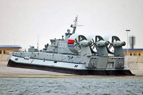 国产两栖野牛视频